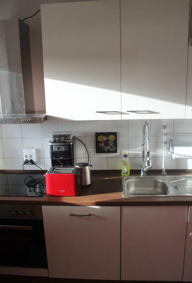Ziebigk Appartement Deluxe Dessau-Rosslau ภายนอก รูปภาพ