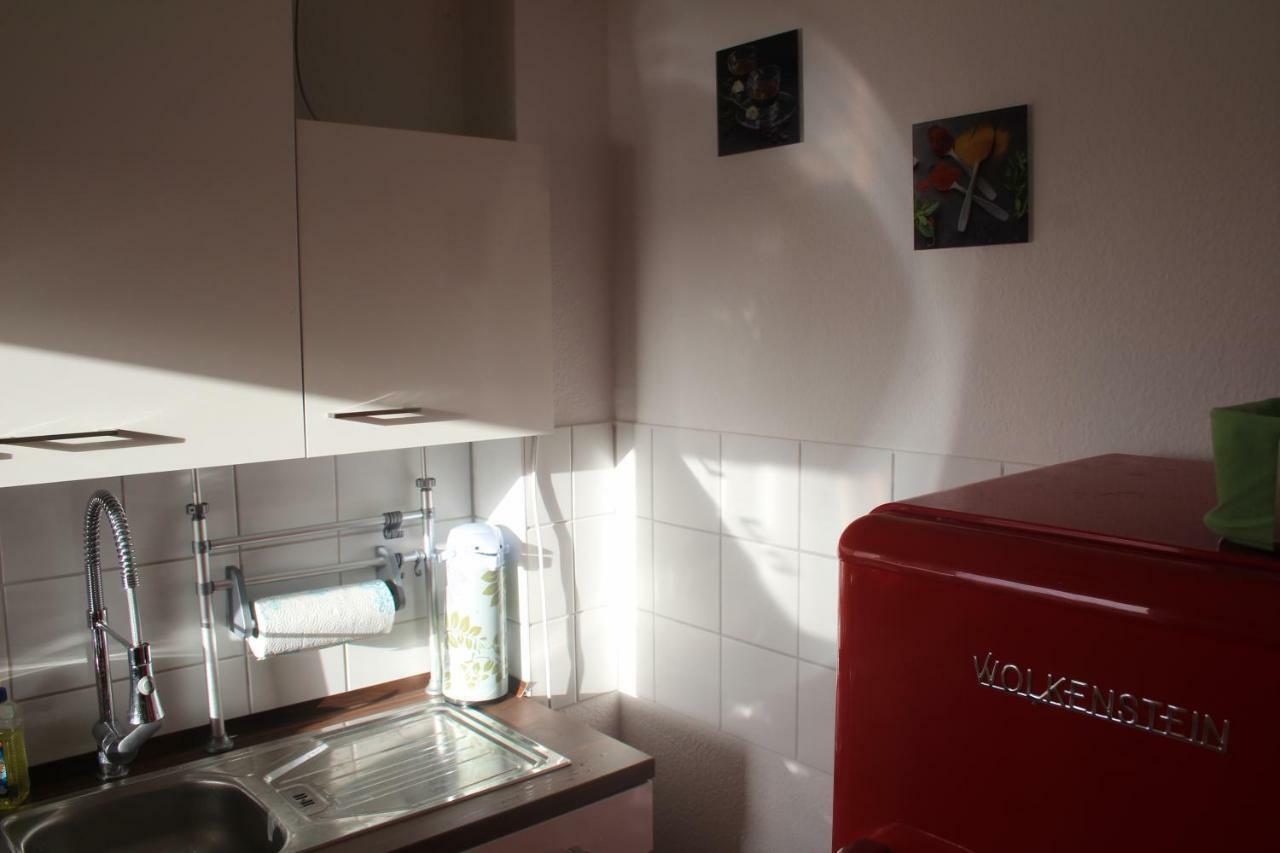 Ziebigk Appartement Deluxe Dessau-Rosslau ภายนอก รูปภาพ